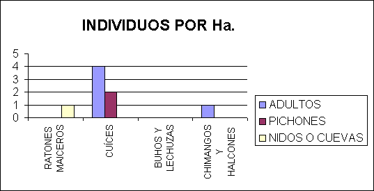 ObjetoGrfico INDIVIDUOS POR Ha.